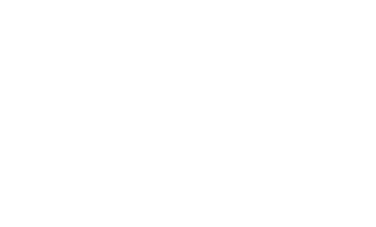 Tek Kılavuz